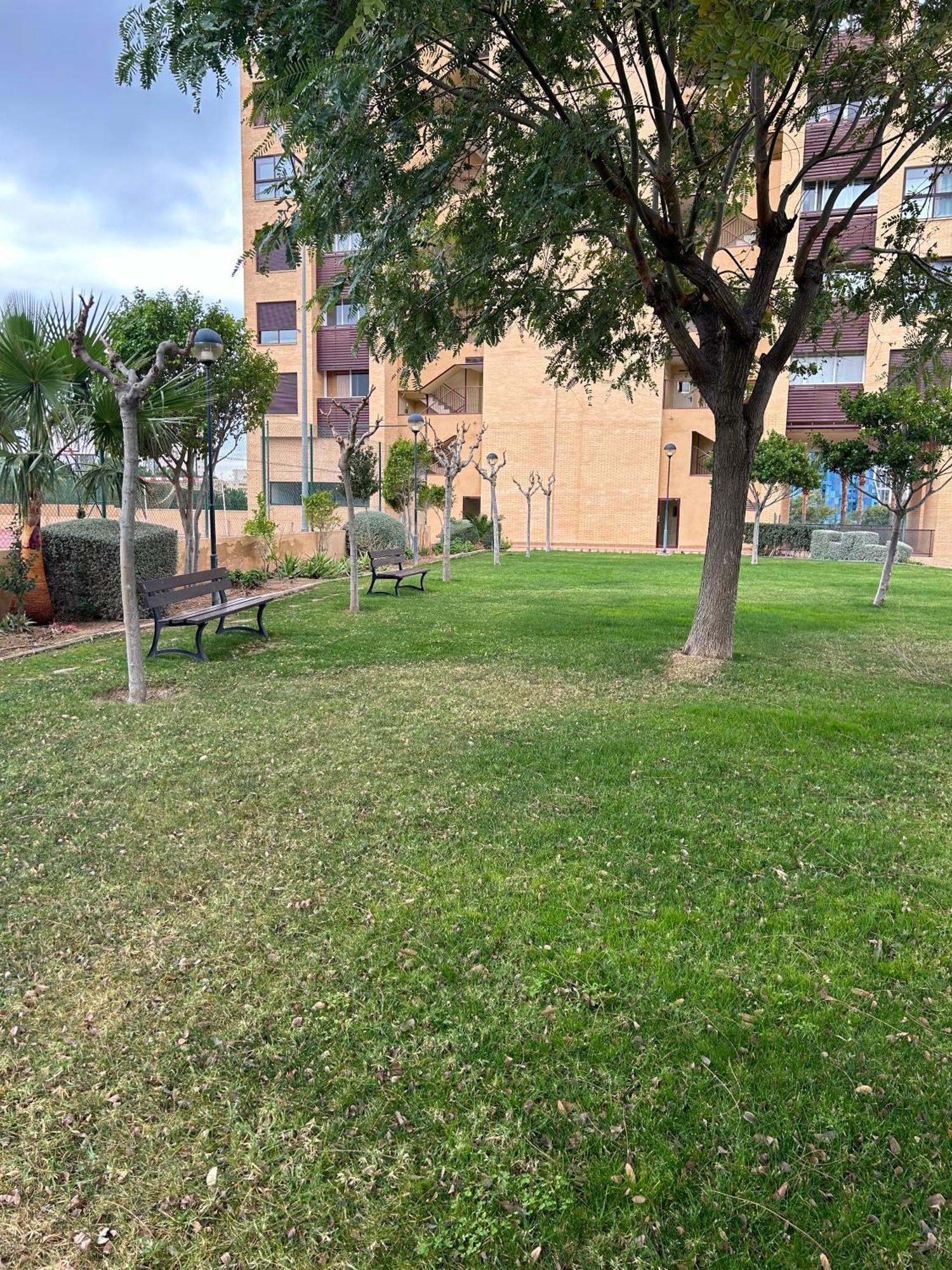 Apartamento Terrazas Benidorm Exterior foto